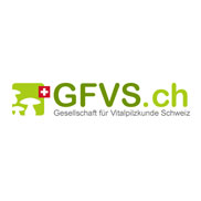 Kundenreferenz: TYPO3 Webseite für die Gesellschaft für Vitalpilzkunde Schweiz (GFVS)