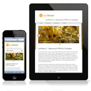 Responsive TYPO3 Template sunflower 2 als Distribution für TYPO3 6.2