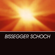 Kundenreferenz: Redesign Bissegger Schoch mit dem CMS WordPress und Responsive Webdesign