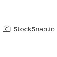 StockSnap.io – Lizenzfreie Fotos für jeden Zweck